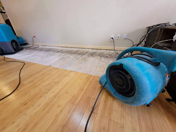 Professional Water Removal technician working in Summit, AZ